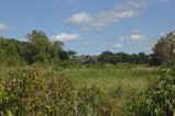 thumbnails/000-IMG_6454.jpg.small.jpeg