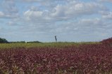 thumbnails/002-IMG_6464.jpg.small.jpeg