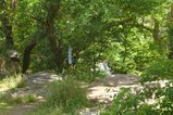 thumbnails/004-IMG_6469.jpg.small.jpeg