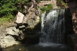 thumbnails/005-IMG_6474.jpg.small.jpeg