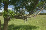 thumbnails/008-IMG_6484.jpg.small.jpeg